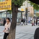 태조순대 이미지