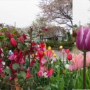 뜨락풍경 이미지