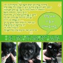 반달곰 가족 이미지