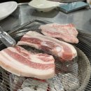꿀먹은돼지 이미지