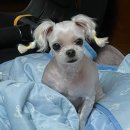 서초대로48길 107 이미지