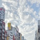 무도 체육관 이미지