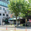 아노브 연남 이미지