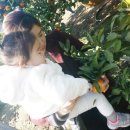 소은농장 이미지