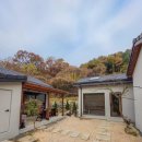 비로소, 겨울 하늘 | 서울근교애견동반펜션 스테이옛 서로의시선, 사진보다 더 좋았던 리얼 후기