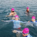8회 경포바다핀 수영대회 (블루: 성창모) 이미지