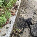 환경체육단지 다목적구장 | 군포 아파트 놀이터공사 바닥교체 안전한 환경 만들기