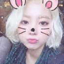 집안살림 이미지