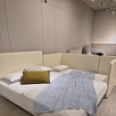 인덕원사거리 | 🛏 침대는 과학! 에이스침대 평촌인덕원 방문기