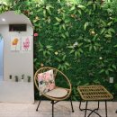 숲속세신 이미지