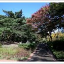 한글비근린공원 이미지