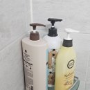 언덕나무펜션 이미지