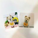 하루가다르개 이미지