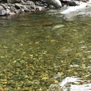 불바라기팬션 이미지