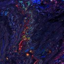 염소자리 이미지