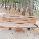 썬비치민박 이미지