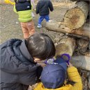 아르떼어린이집