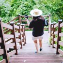 장전보건진료소 이미지