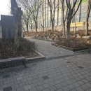 청계산 공영주차장 | 청계산 매봉 등산코스 100대명산 서울 초보 등산후기