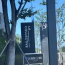 도미니클라바 이미지