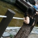 웅진한우 이미지