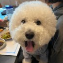 궁원복집 이미지