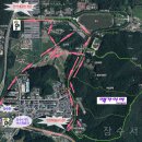 인천대공원(다목적광장) | [20140412]인천대공원 벚꽃-장수천과 인천대공원(벚나무길)에서 절정기의 벚꽃을 감상하다