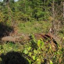 설악농장 이미지