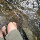 백록그집식당 이미지