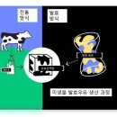 ■ 소 없는 우유 출시! 미생물이 생산하는 우유(milk)! 이미지