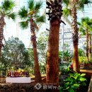 제천농장 이미지