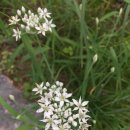 시골나들이 이미지