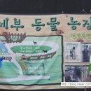 모텔돼지꿈 이미지