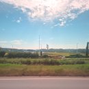 파주시티투어 평화관광(토요일) 이미지