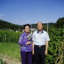 신우농장 이미지