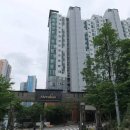 용인대초당태권도 이미지