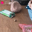 공일포차