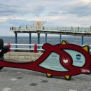 주)용평리조트 드래곤캐슬 | 용평리조트 평화봉, 천년주목숲길, 드래곤캐슬 후기