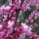 부평경찰서 이미지