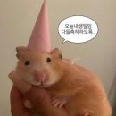 A0635 | 20대 마지막 생일 기록하기 𓂃˖₊⊹ (feat. 실용적인 선물 추천)