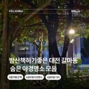 지에스25(GS25)갈마계룡로점 | 갈마동 야경 명소 산책 하기 좋은 숨은 명당 모음