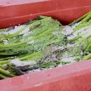 일조식당 이미지