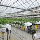 가평군 농업기술센터 이미지