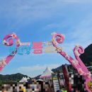 포천 한탄강 가든페스타 후기 Y자 출렁다리 아이와 가볼만한곳