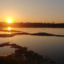 세종청사공인번역행정사사무소 이미지