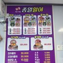 종일활어 이미지