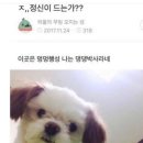 옛가 이미지