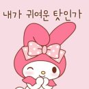 마이케이크