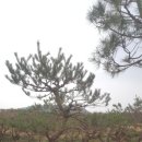 영민농장 이미지