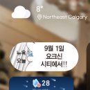 이산치안센터 | nyc